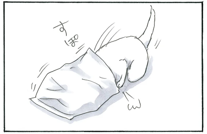 お菓子の袋に頭を突っ込み、のっそのっそ。子猫さん、動きづらくはないんですか？