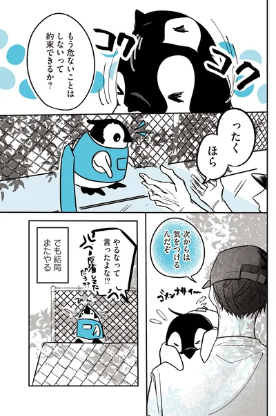 『ペンギン喫茶は今日も青天2 』より