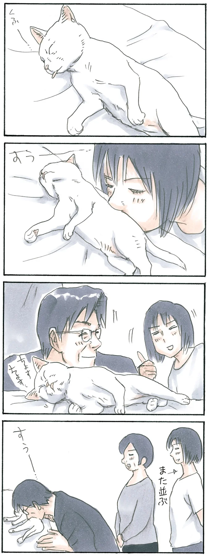 行列のできる猫