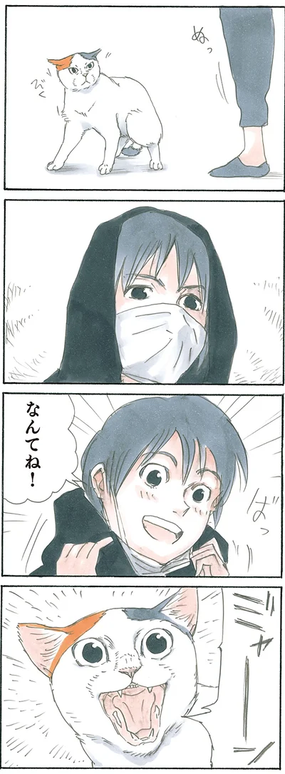 『拾い猫のモチャ4』より