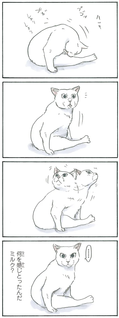 『拾い猫のモチャ4』より