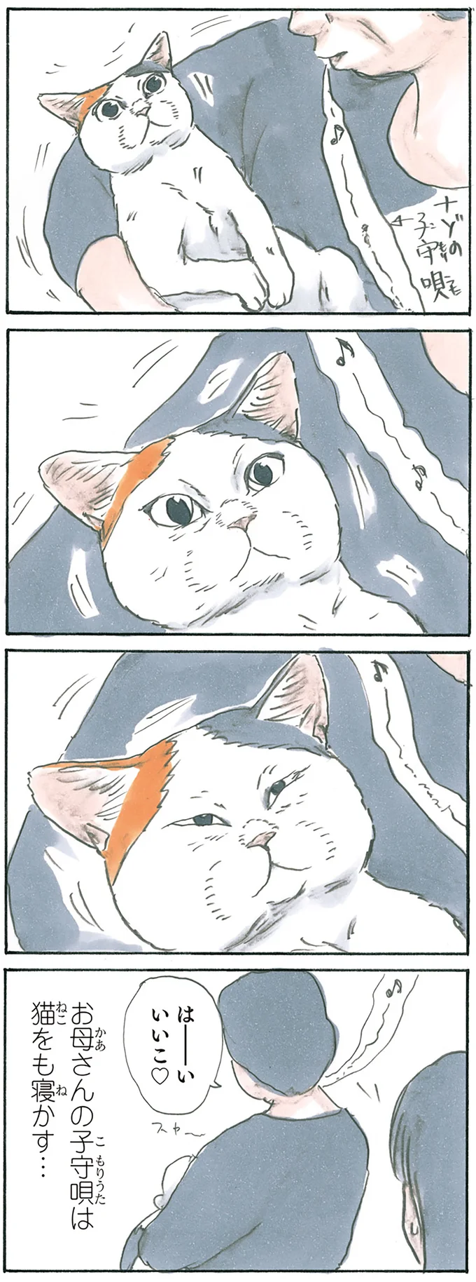 『拾い猫のモチャ4』より