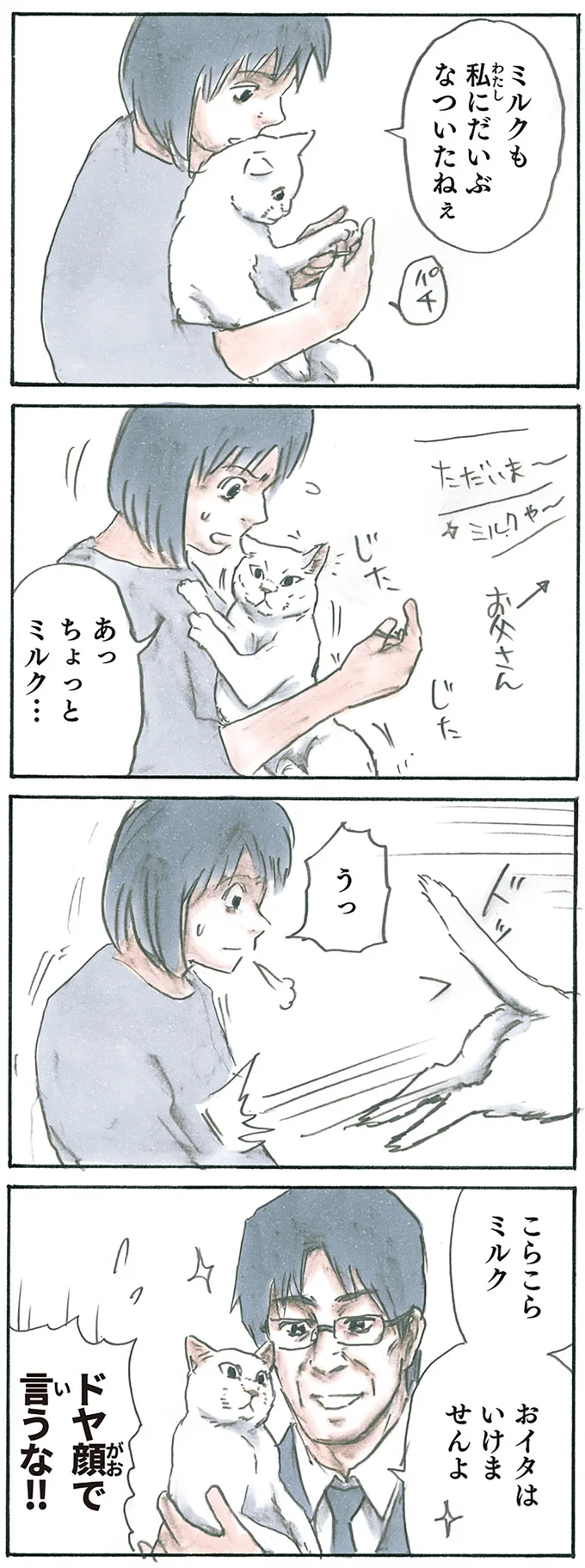 『拾い猫のモチャ4』より