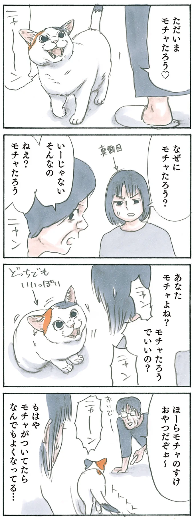 『拾い猫のモチャ4』より