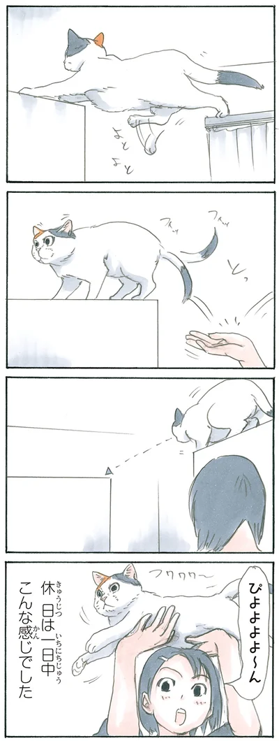 『拾い猫のモチャ4』より