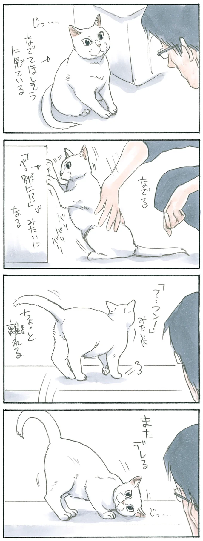 『拾い猫のモチャ4』より
