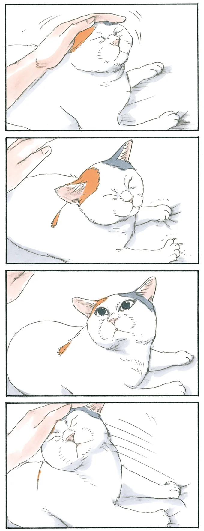 『拾い猫のモチャ4』より