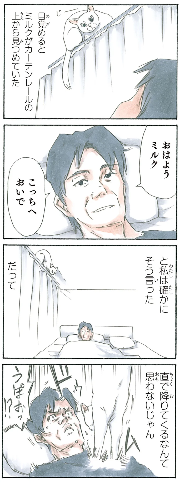 『拾い猫のモチャ4』より