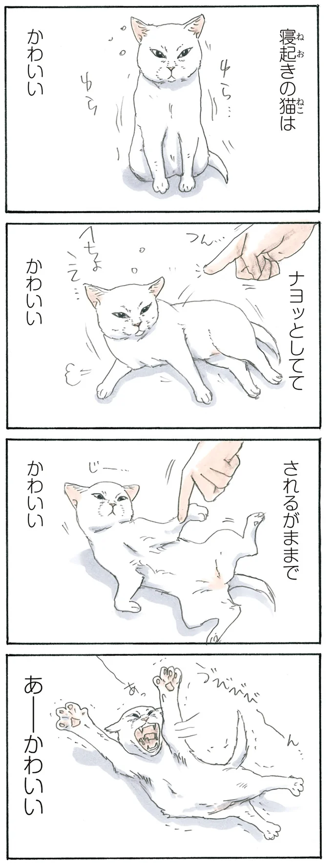 寝起きの猫は