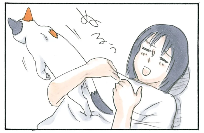 飼い主が呼べば猫が来てくれる！ 幸せ～と思いきや、思っていたのと違って？