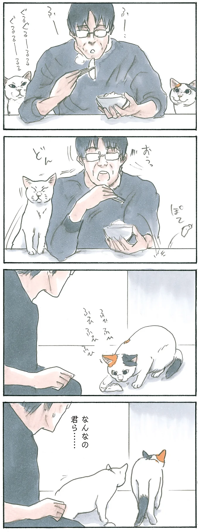 猫のいる食卓