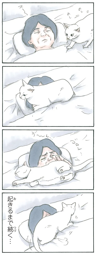 『拾い猫のモチャ5』より