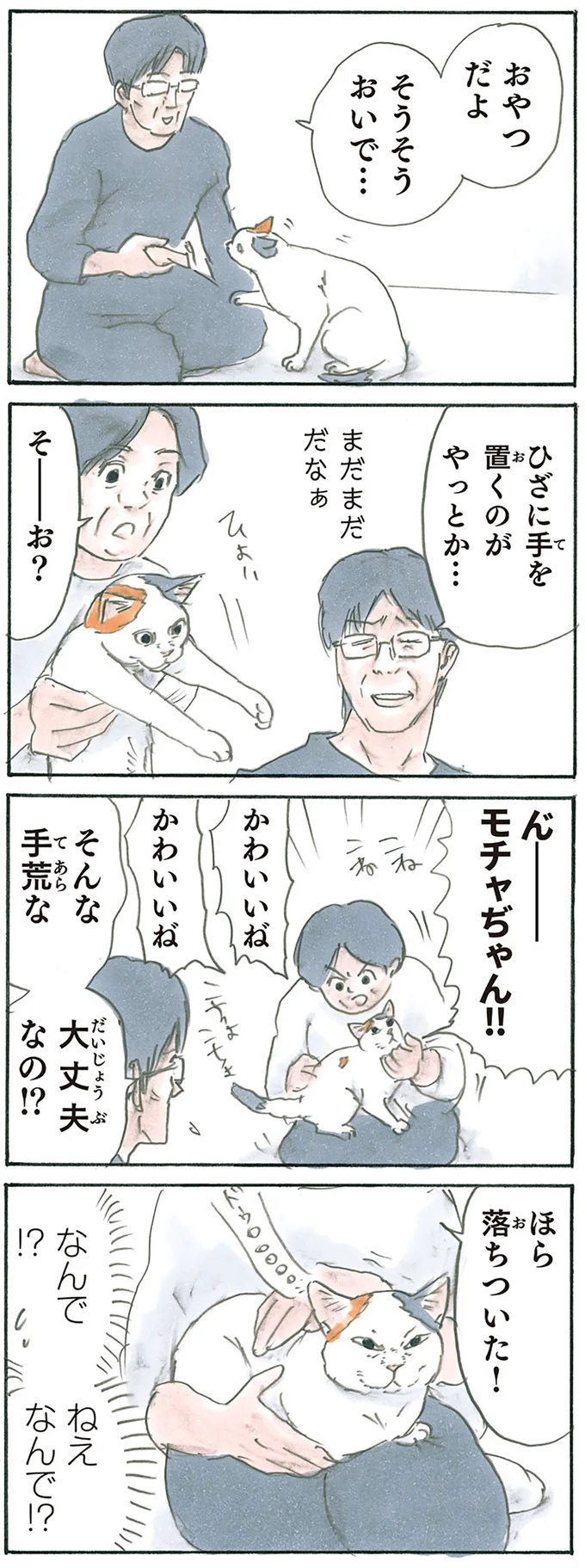 『拾い猫のモチャ5』より