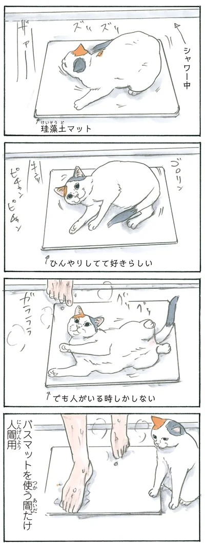 『拾い猫のモチャ5』より