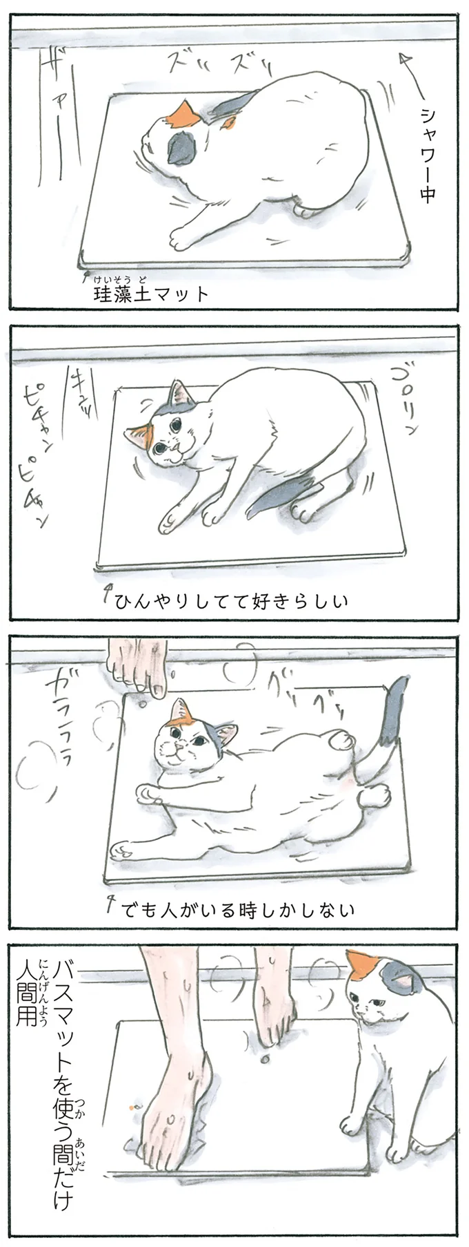 『拾い猫のモチャ5』より