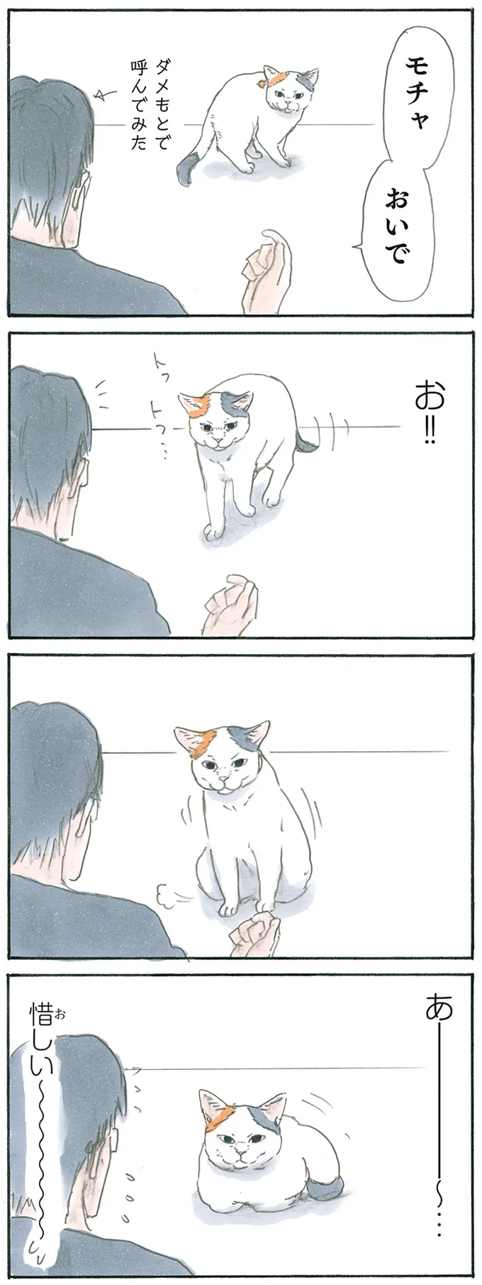 『拾い猫のモチャ5』より