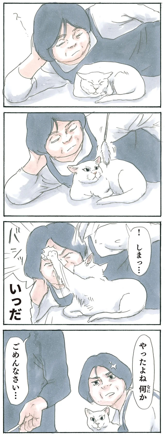 『拾い猫のモチャ5』より