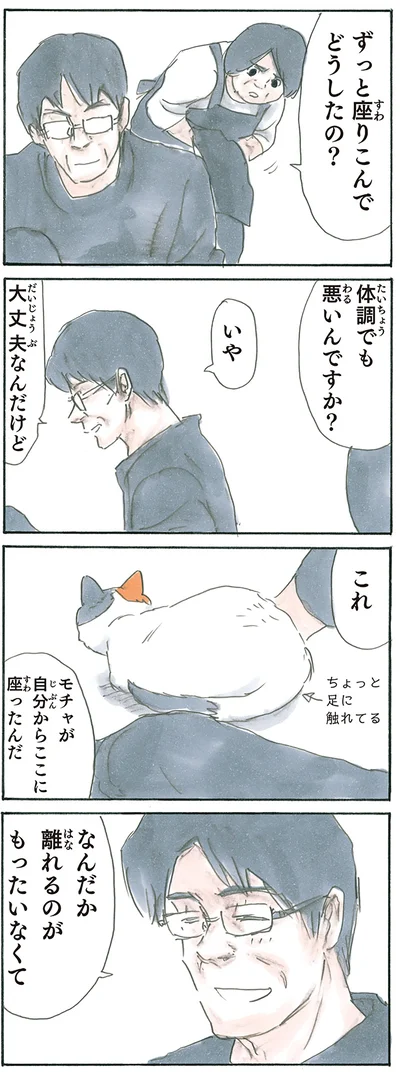 『拾い猫のモチャ5』より