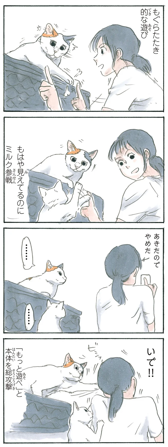 『拾い猫のモチャ5』より