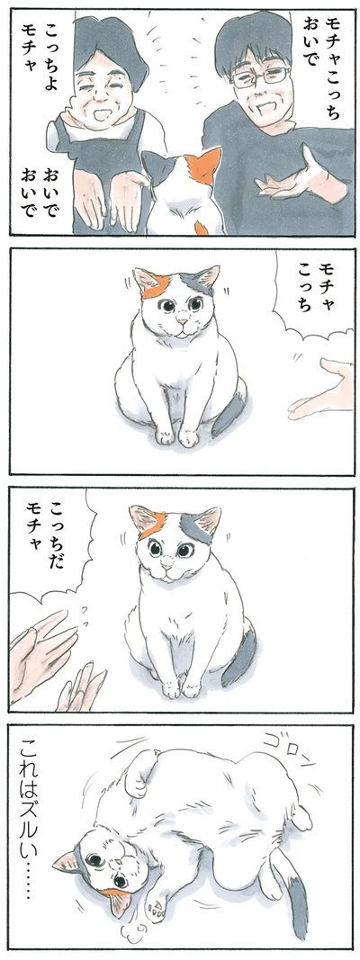 『拾い猫のモチャ5』より