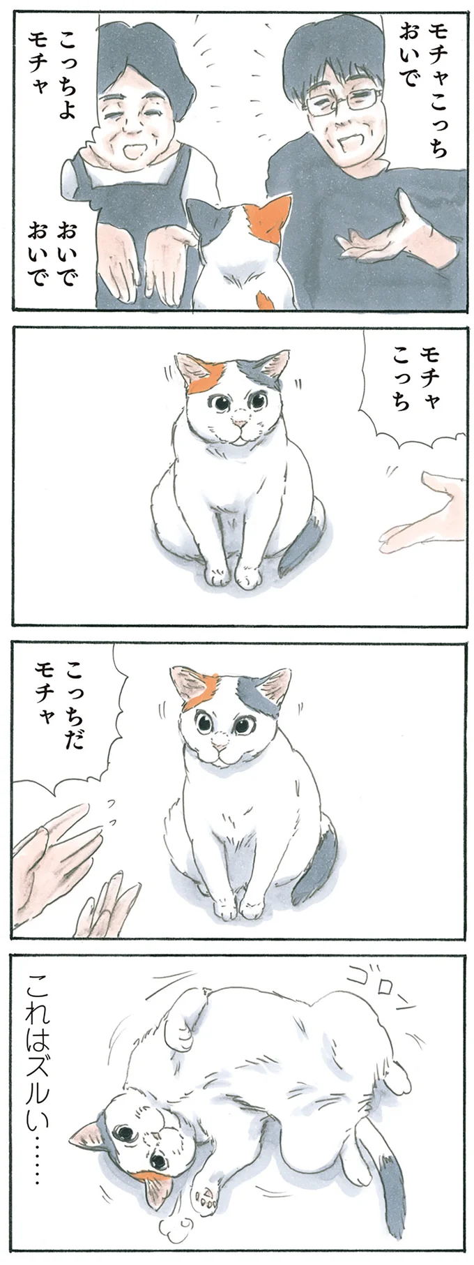 『拾い猫のモチャ5』より