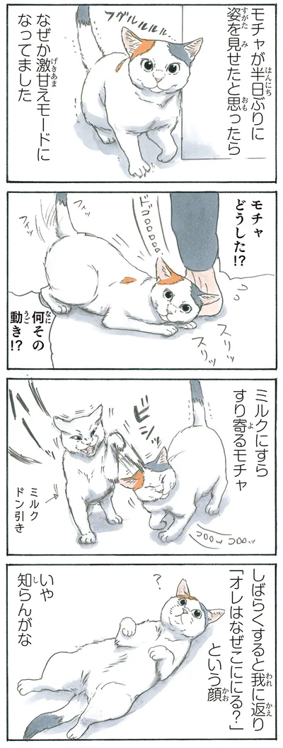 『拾い猫のモチャ5』より