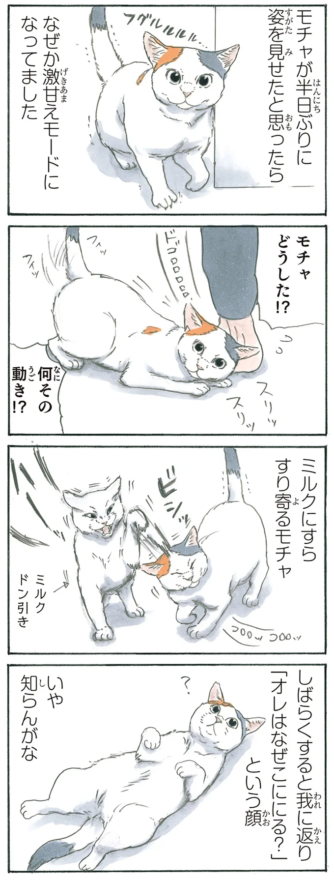 『拾い猫のモチャ5』より