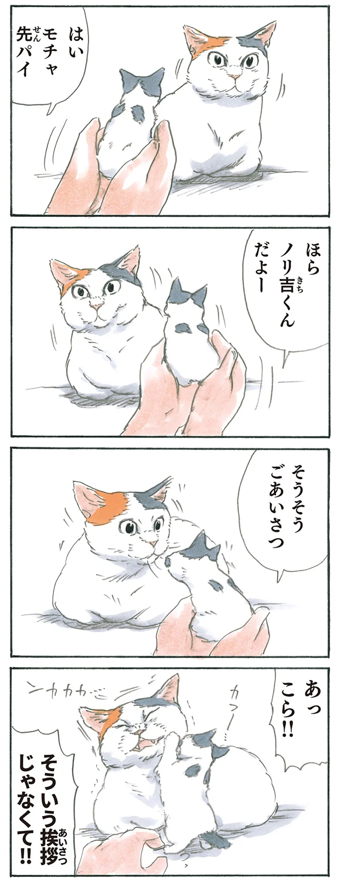 『拾い猫のモチャ5』より