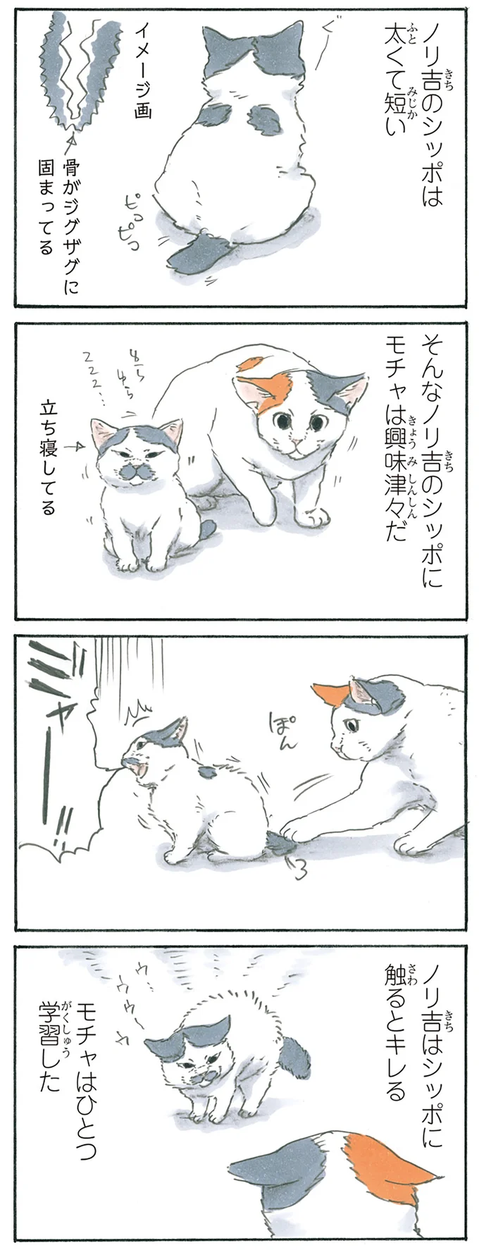 『拾い猫のモチャ5』より