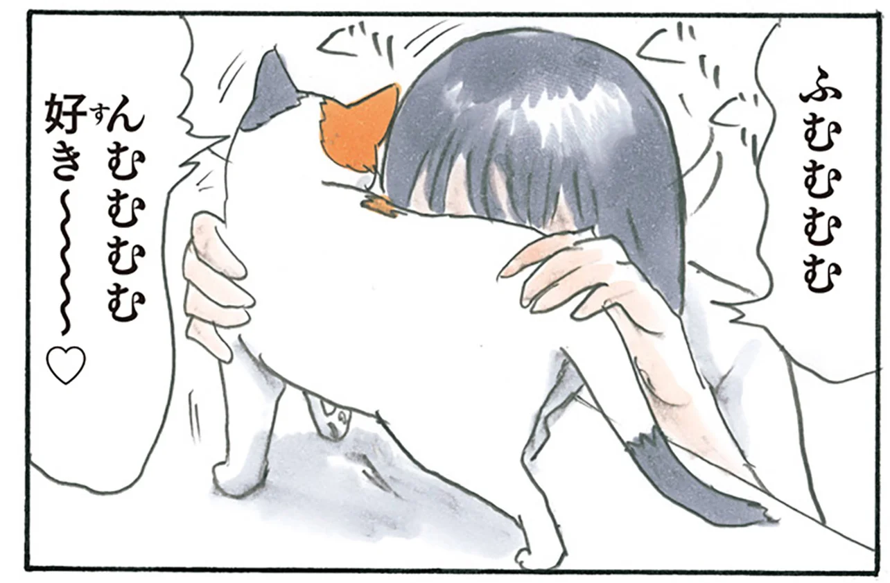 拾い猫のモチャ3 - レタスクラブ