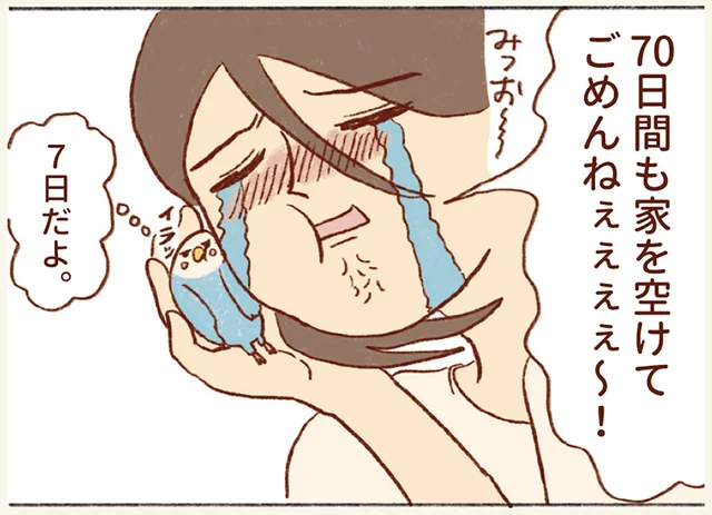 ヒトにとっては7日間、インコにとっては70日間！ 家を空けた期間に大号泣の飼い主