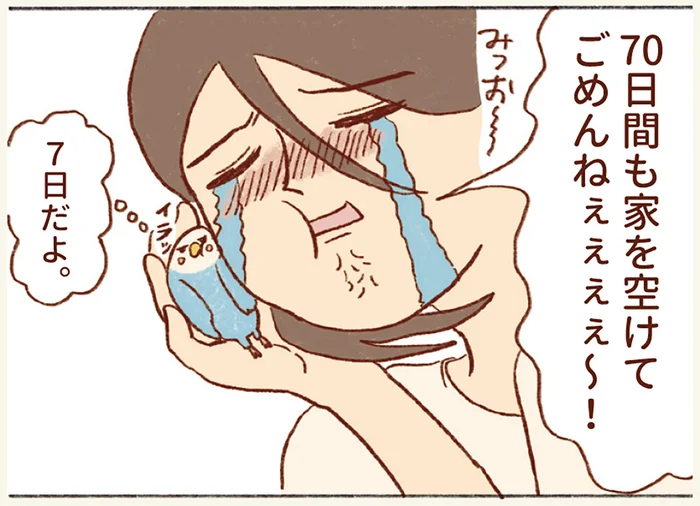 ヒトにとっては7日間、インコにとっては70日間！ 家を空けた期間に大号泣の飼い主