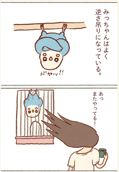 みっちゃんはよく逆さ吊りになっている。