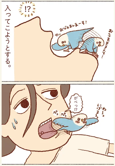 入ってこようとする