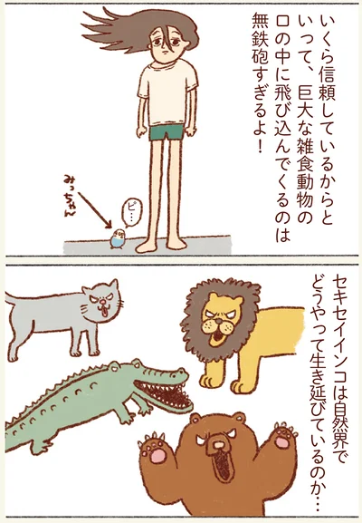 無鉄砲すぎるよ！