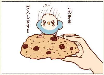 スコーンと一緒に…