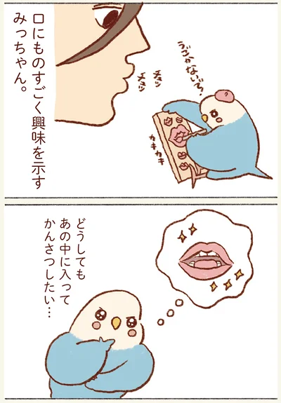 口にものすごく興味を示すみっちゃん