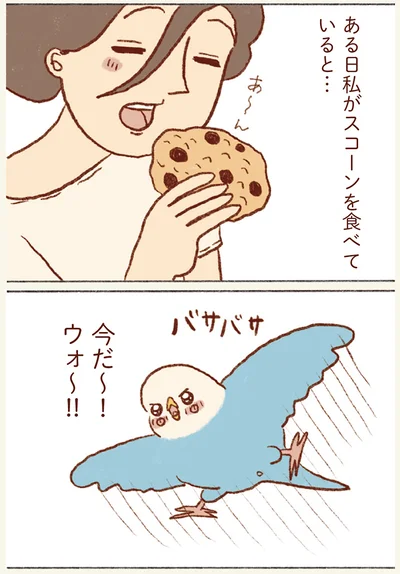 今だ〜！