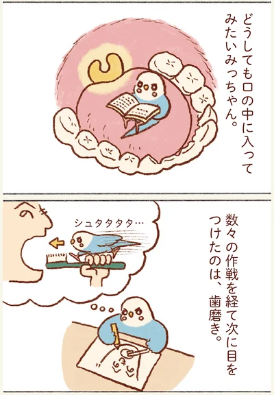 どうしても口の中に入ってみたいみっちゃん