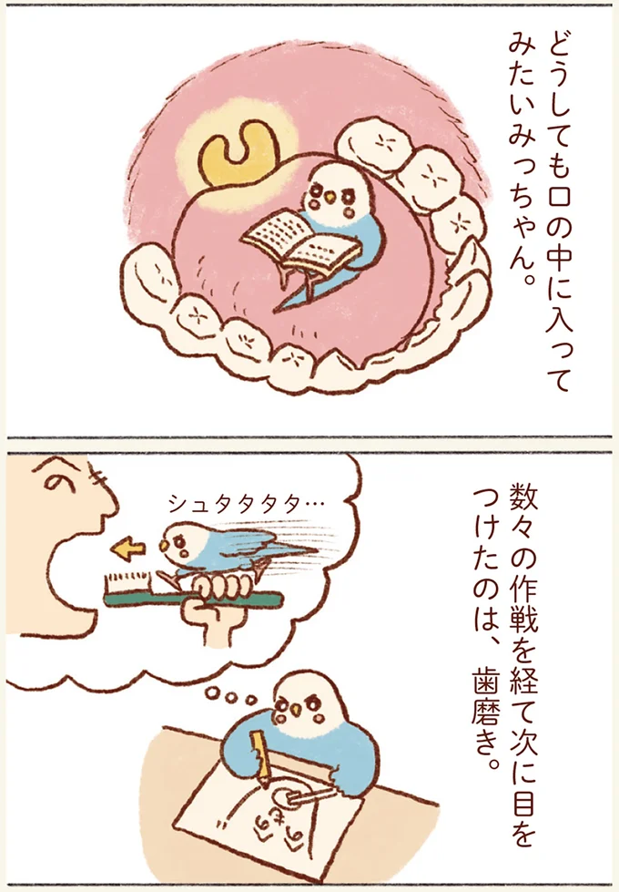 どうしても口の中に入ってみたいみっちゃん