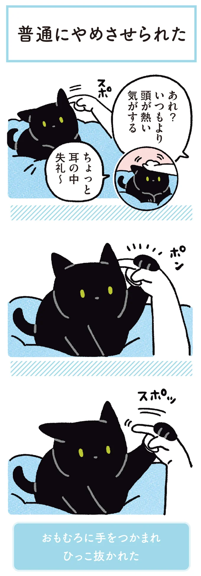 ちょっと耳の中失礼～