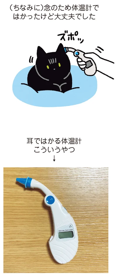 念のため体温計ではかったけど大丈夫でした