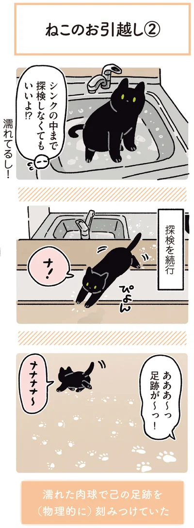 『黒猫ろんと暮らしたら5』より