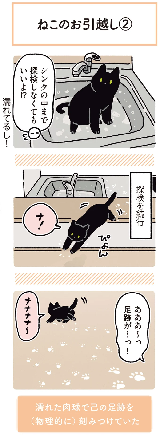 『黒猫ろんと暮らしたら5』より