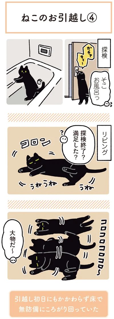 『黒猫ろんと暮らしたら5』より