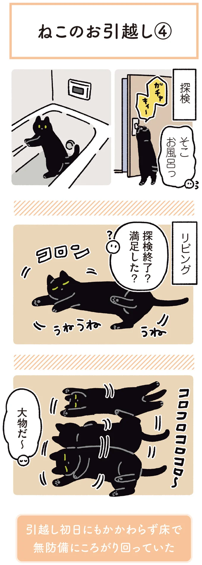 『黒猫ろんと暮らしたら5』より