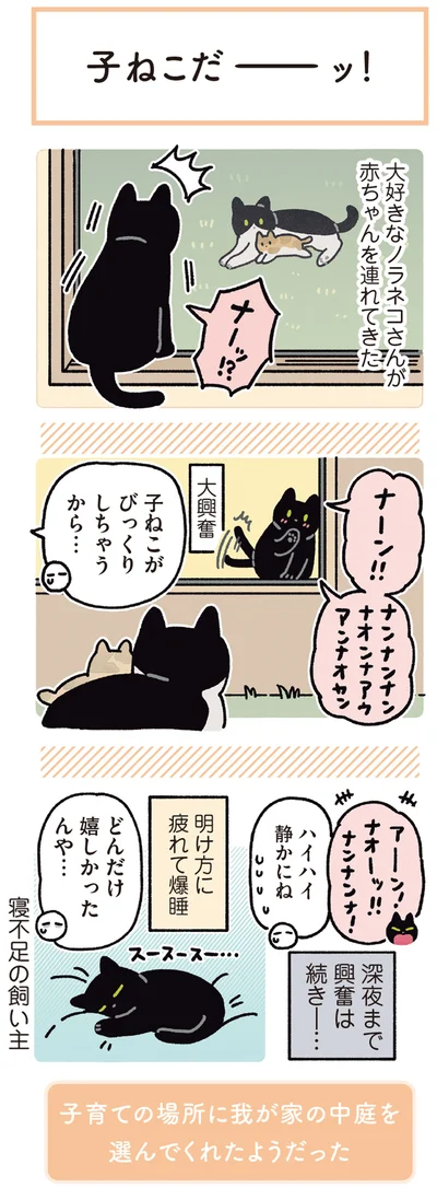 『黒猫ろんと暮らしたら5』より
