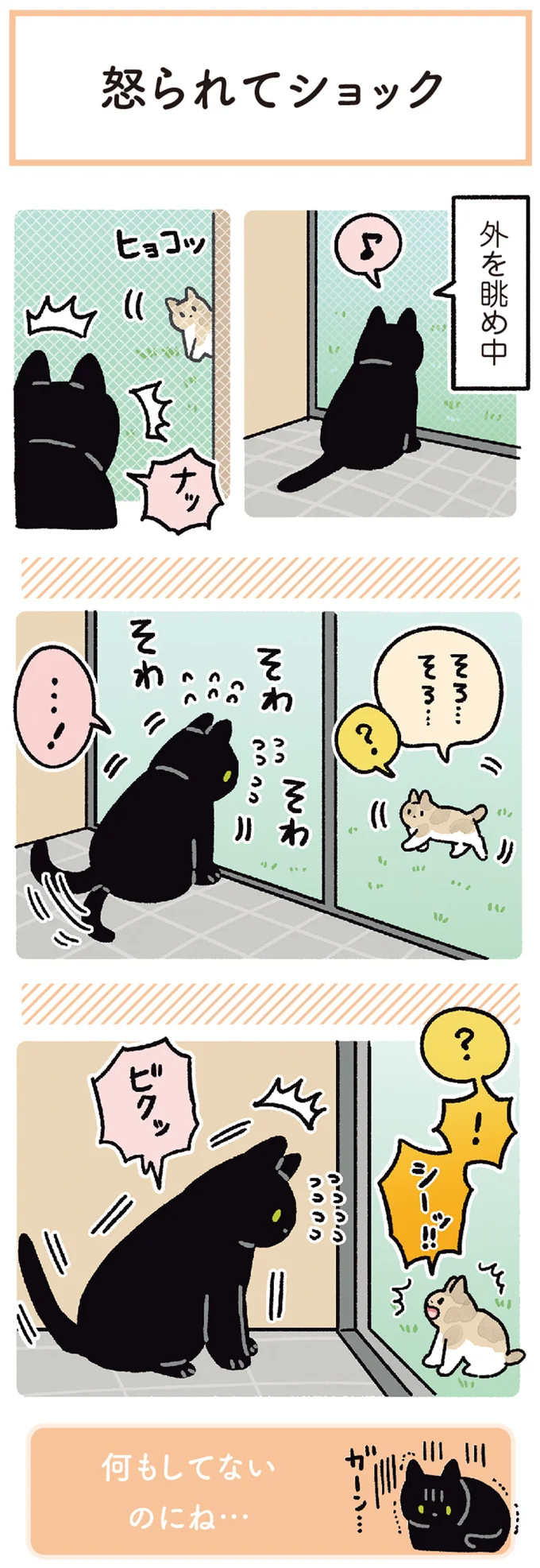 『黒猫ろんと暮らしたら5』より