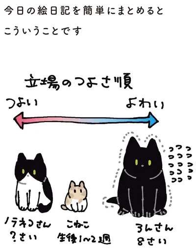 『黒猫ろんと暮らしたら5』より
