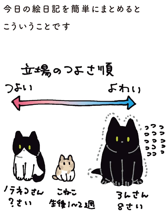 『黒猫ろんと暮らしたら5』より
